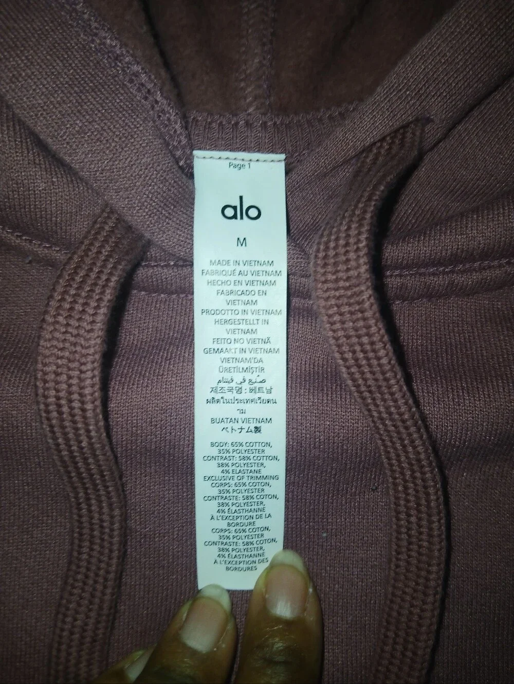 Alo Accolade Hoodie in Burgundy Truffle